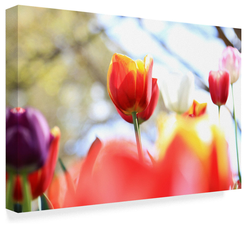 Incredi ''Red And Purple'' Canvas Art, 19"x12"