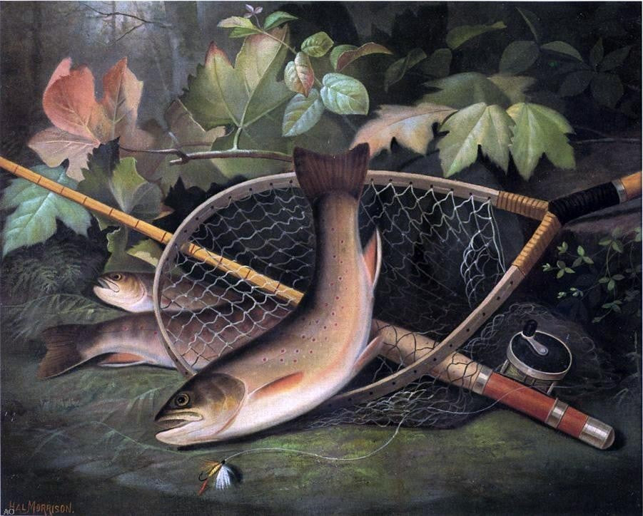 Hal Courtney Morrison Trout, 20"x25" Gallery Wrapped Canvas Print