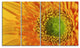 Yellow Daisy Gerbera Flower Close up, Flowers Canvas Artwork, 48"x28", 4 Panels