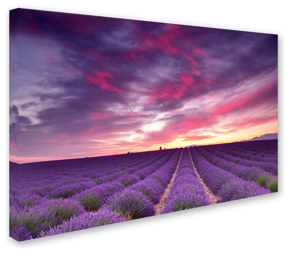 Blanchette Photography 'Pink And Purple' Canvas, 24"x16"