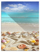 "Caribbean Sea Starfish" Beach and Shore Metal Wall Art, 3 Panels, 28"x36"