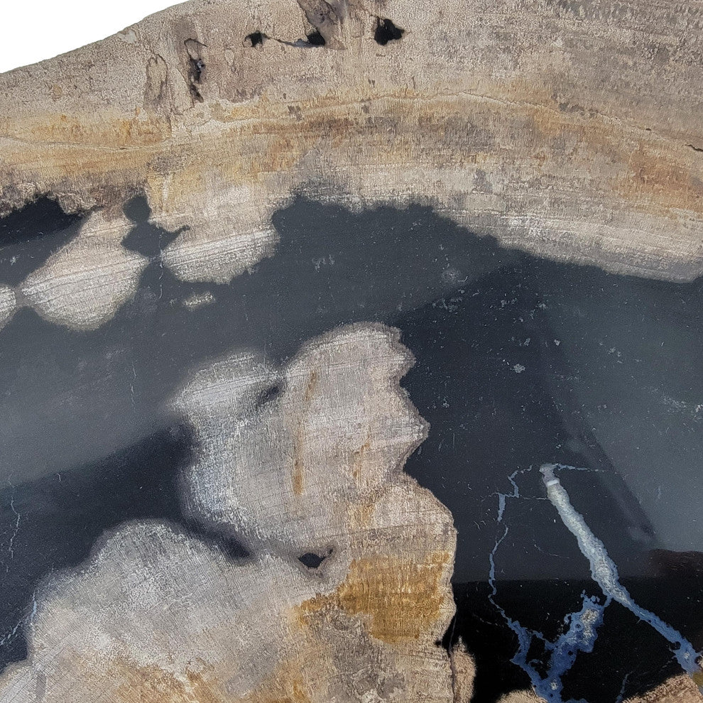 Large 17 in Petrified Wood Stone Tray Centerpiece Plate Fossil Live Edge Natural