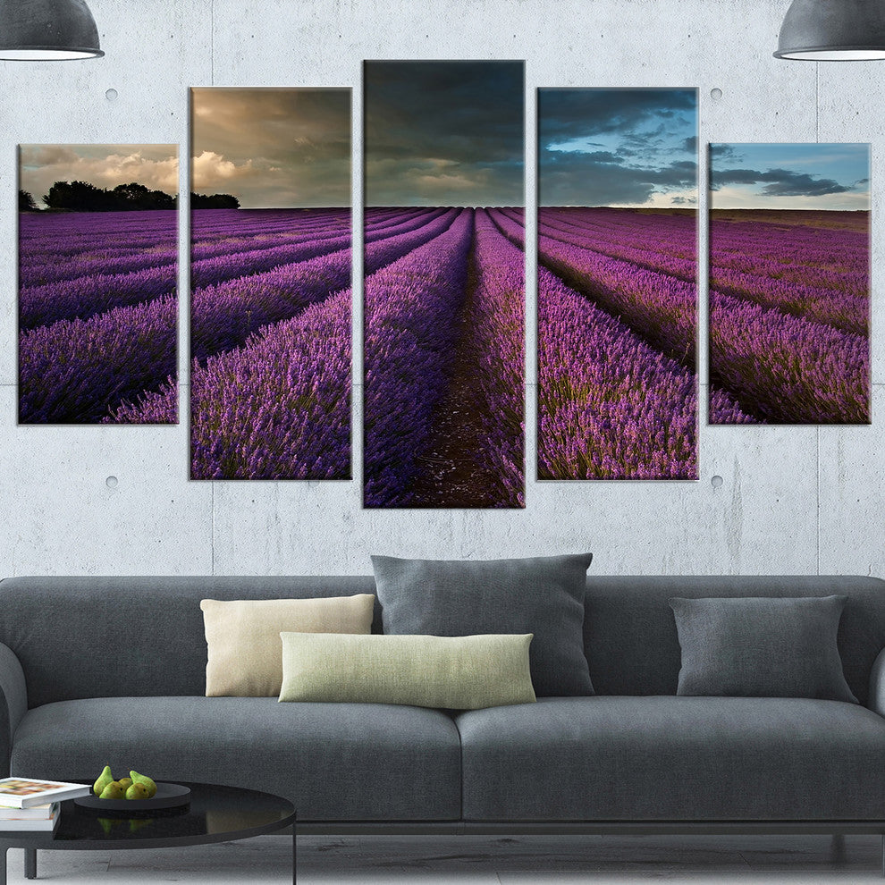 Lavender Field and Dramatic Sky, Floral Canvas Art Print, 60"x32", 5 Panels