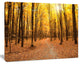 Yellow Treetops in Fall Forest, Modern Forest Canvas Art, 40"x30"