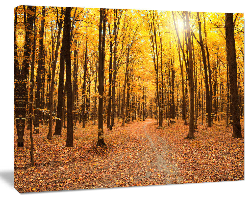 Yellow Treetops in Fall Forest, Modern Forest Canvas Art, 40"x30"