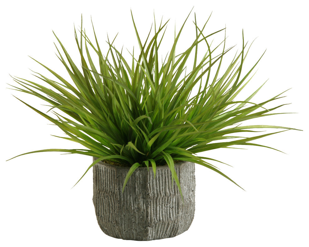 Wild Grass in Concrete Bowl