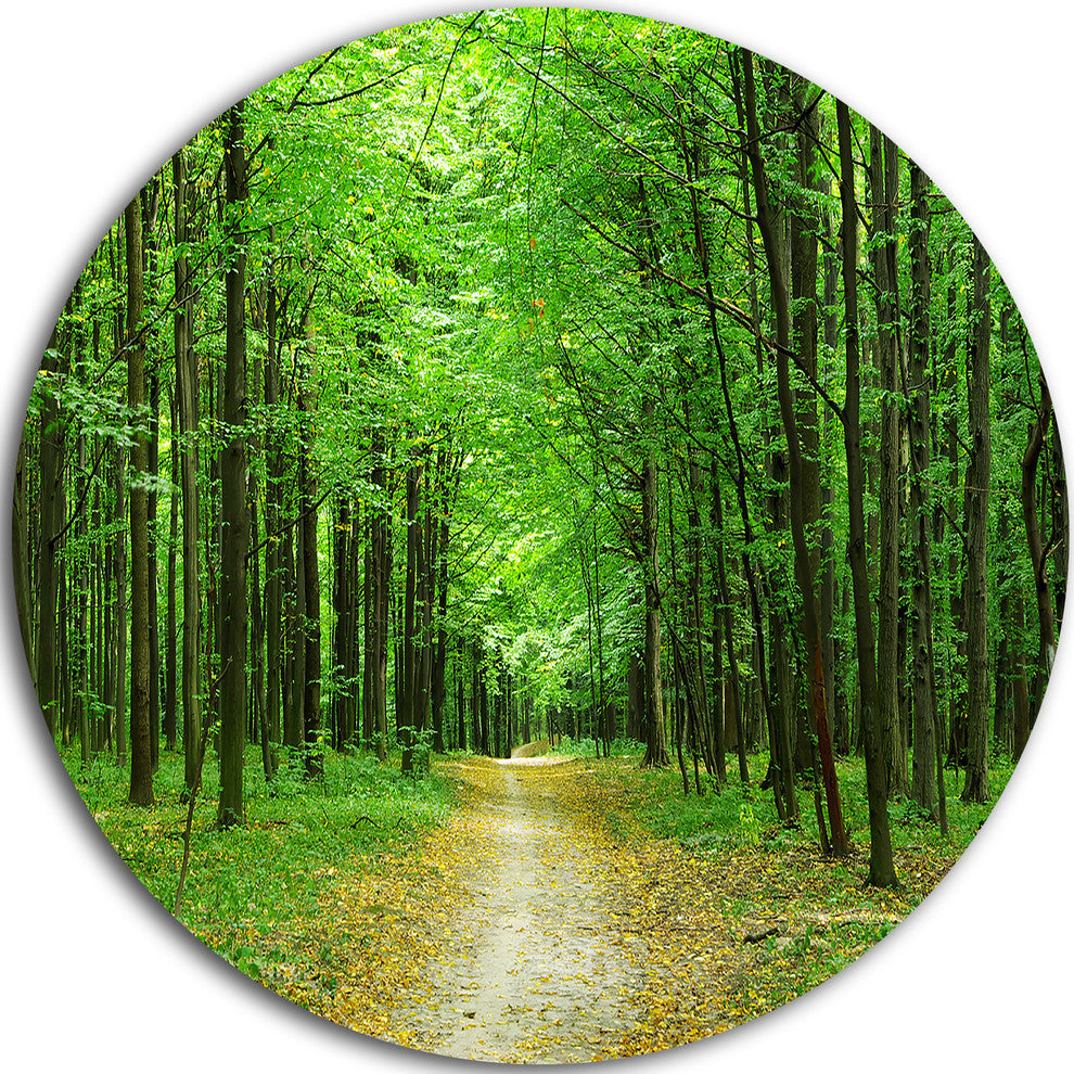 Pathway In Green Forest, Landscape Photo Disc Metal Wall Art, 11"