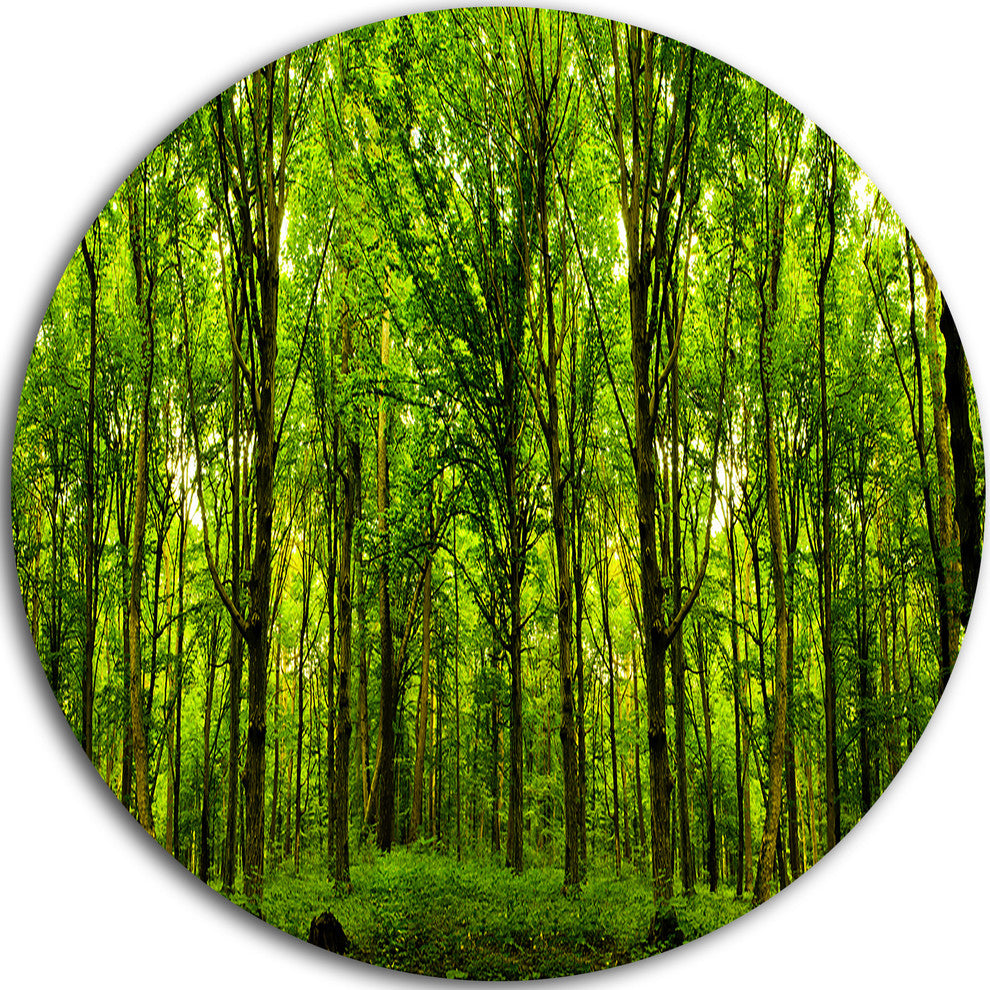 Green Forest, Landscape Photo Disc Metal Artwork, 36"