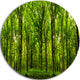 Green Forest, Landscape Photo Disc Metal Artwork, 36"