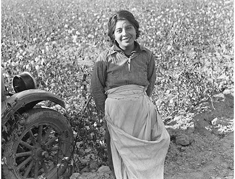 Cotton Picker - Gallery Wrapped Canvas Art 28" x 42"
