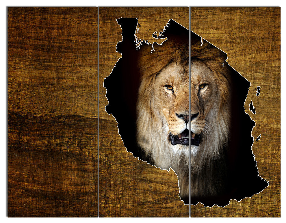 Tanzania Wildlife Map Design, Abstract Triptych Canvas Artwork, 36x28, 3 Panels