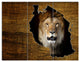 Tanzania Wildlife Map Design, Abstract Triptych Canvas Artwork, 36x28, 3 Panels