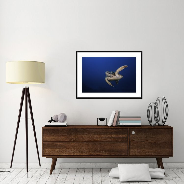 "Green Turtle" Framed Digital Print by Barathieu Gabriel, 44x32"