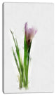 Green Purple Watercolor Flower Sketch, Floral Canvas Art Print, 16"x32"