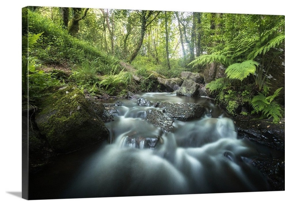 "Fraicheur de la foret" Wrapped Canvas Art Print, 48"x32"x1.5"