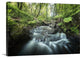 "Fraicheur de la foret" Wrapped Canvas Art Print, 48"x32"x1.5"