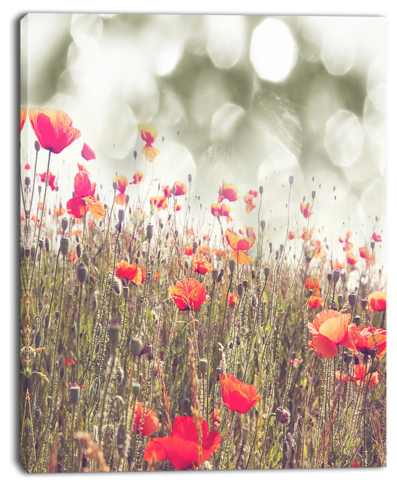 Red Poppy Flowers Meadow, Floral Canvas Art Print, 30"x40"