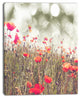 Red Poppy Flowers Meadow, Floral Canvas Art Print, 30"x40"