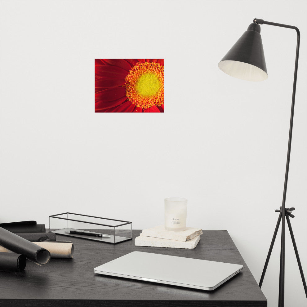 Nature's Beauty Nature Photography, Floral Unframed Wall Art Print, 8" X 10"