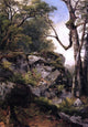 Asher Brown Durand Woodland Scene, 18"x27" Wall Decal Print