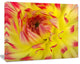 Smooth Yellow Red Flower Petals, Floral Canvas Art Print, 40"x30"
