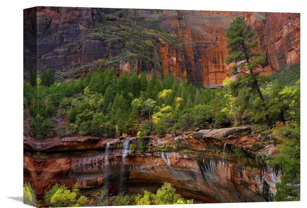 "Cascades And Desert Varnish At Emerald Pools, Zion National Park, Utah" Artwork