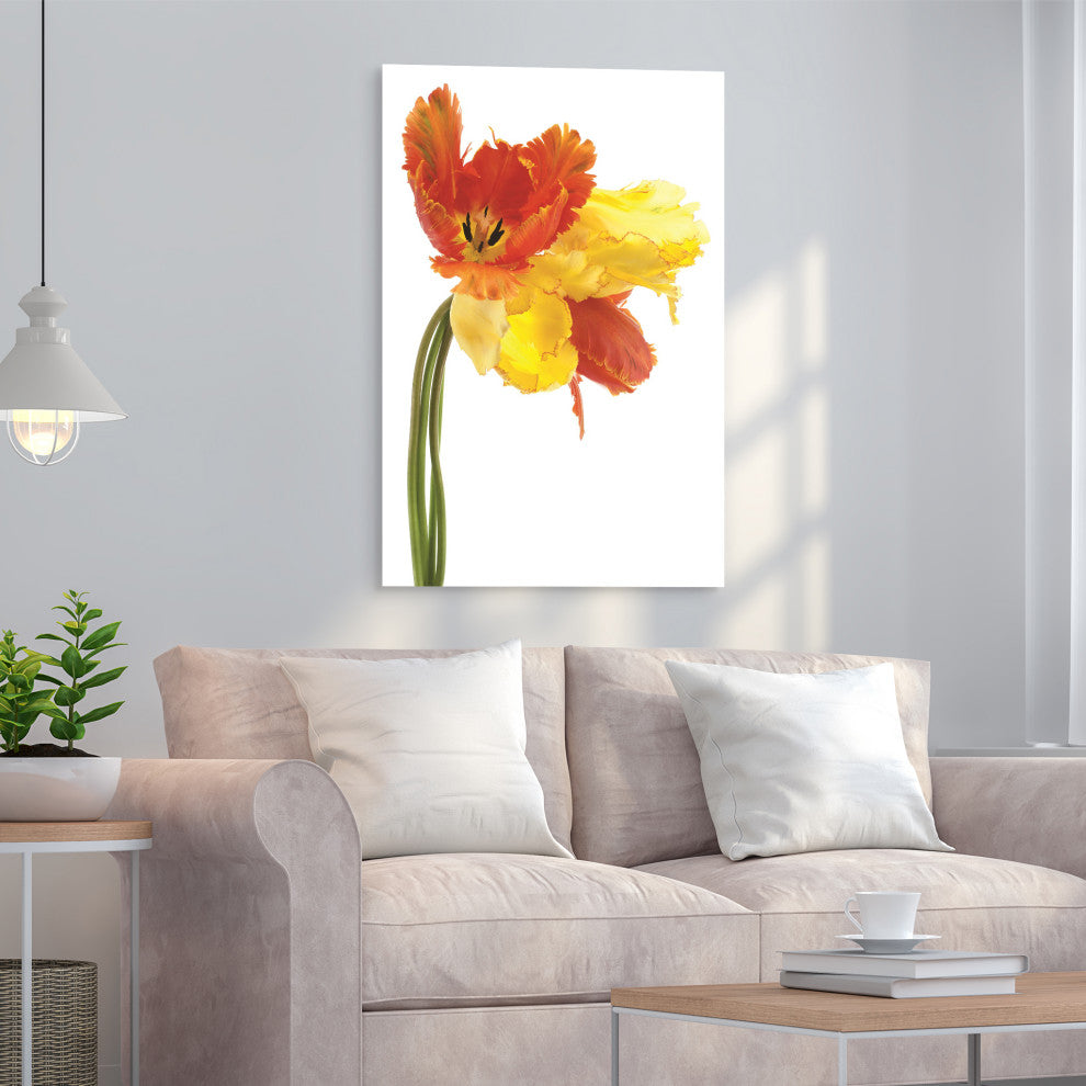 Orange Yellow Parrot Tulip Frameless Free Floating Tempered Art Glass Wall Art