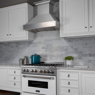 DuraSnow Stainless Steel Range Hood with DuraSnow Shell