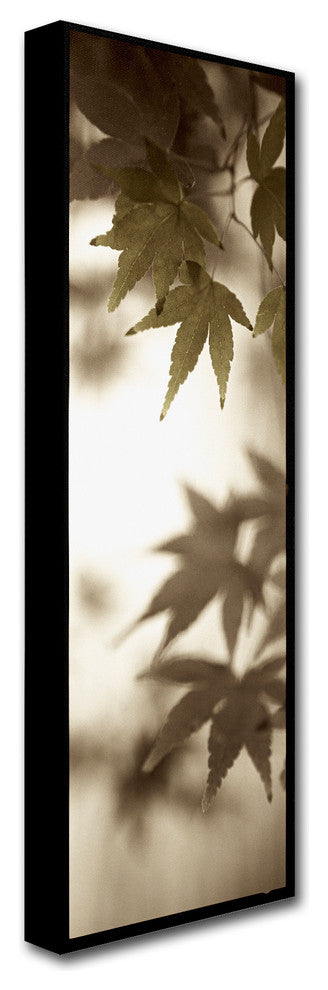 Alan Blaustein ''Florison 97'' Canvas Art, 8x24