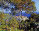 Claude Oscar Monet Bordighera, 20"x25" Gallery Wrapped Canvas Print