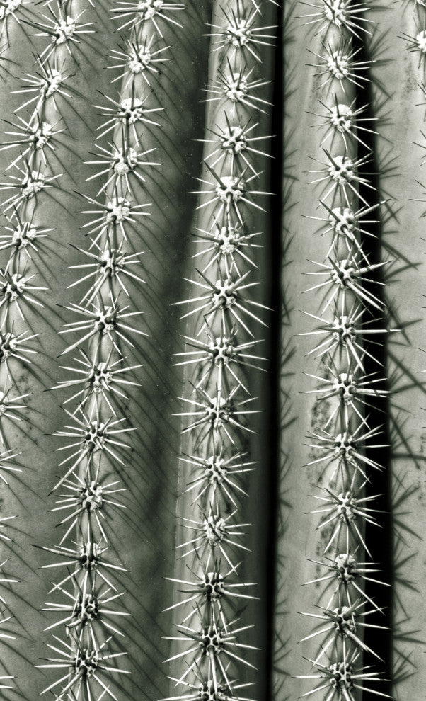 Silver Spikes Grand 2, Giclee Reproduction Artwork