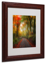 'The Lost Path' Matted Framed Canvas Art by Philippe Sainte-Laudy