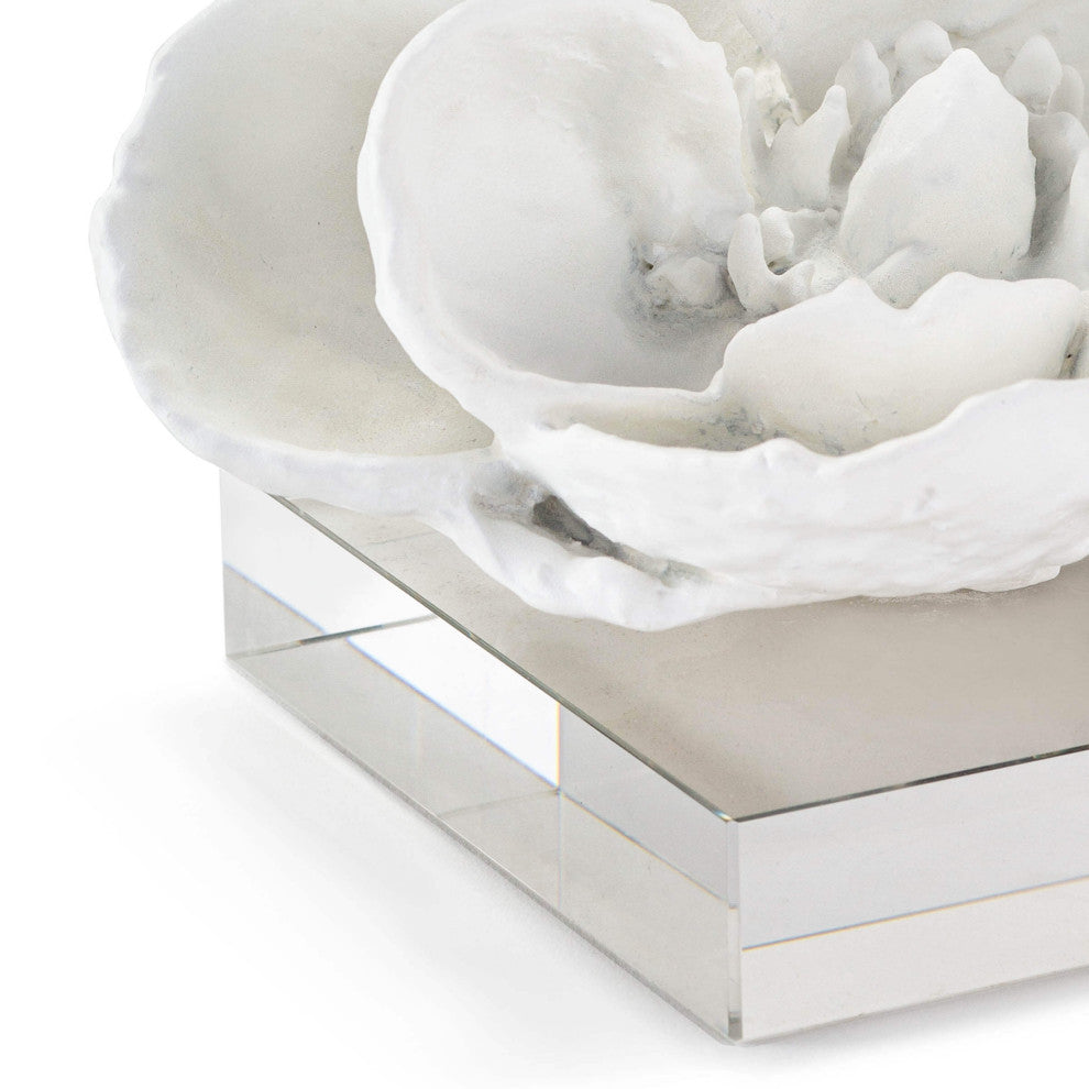Magnolia Objet, White