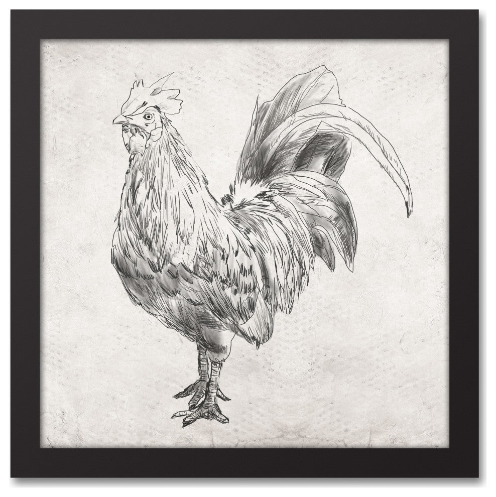 Sketched Black Chicken 12x12 Black Framed Canvas