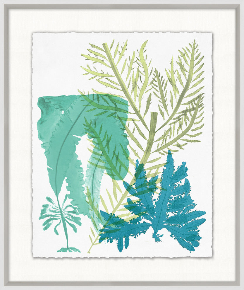 Deep Sea Kelp 6, Giclee Reproduction Artwork