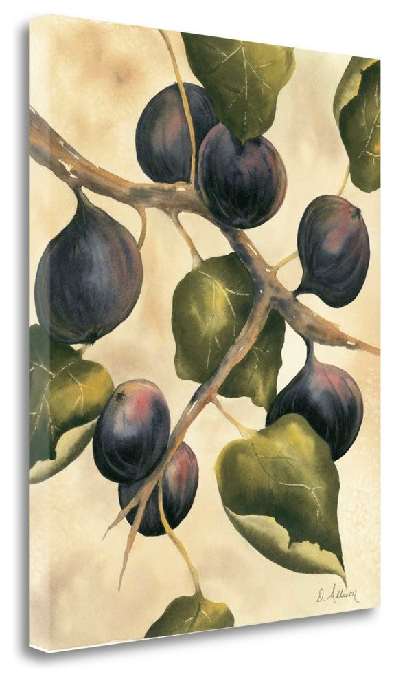 "Italian Harvest - Figs" By Doris Allison, Giclee Print on Gallery Wrap Canvas