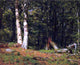 Thomas Worthington Whittredge Fallen Birch Wall Decal