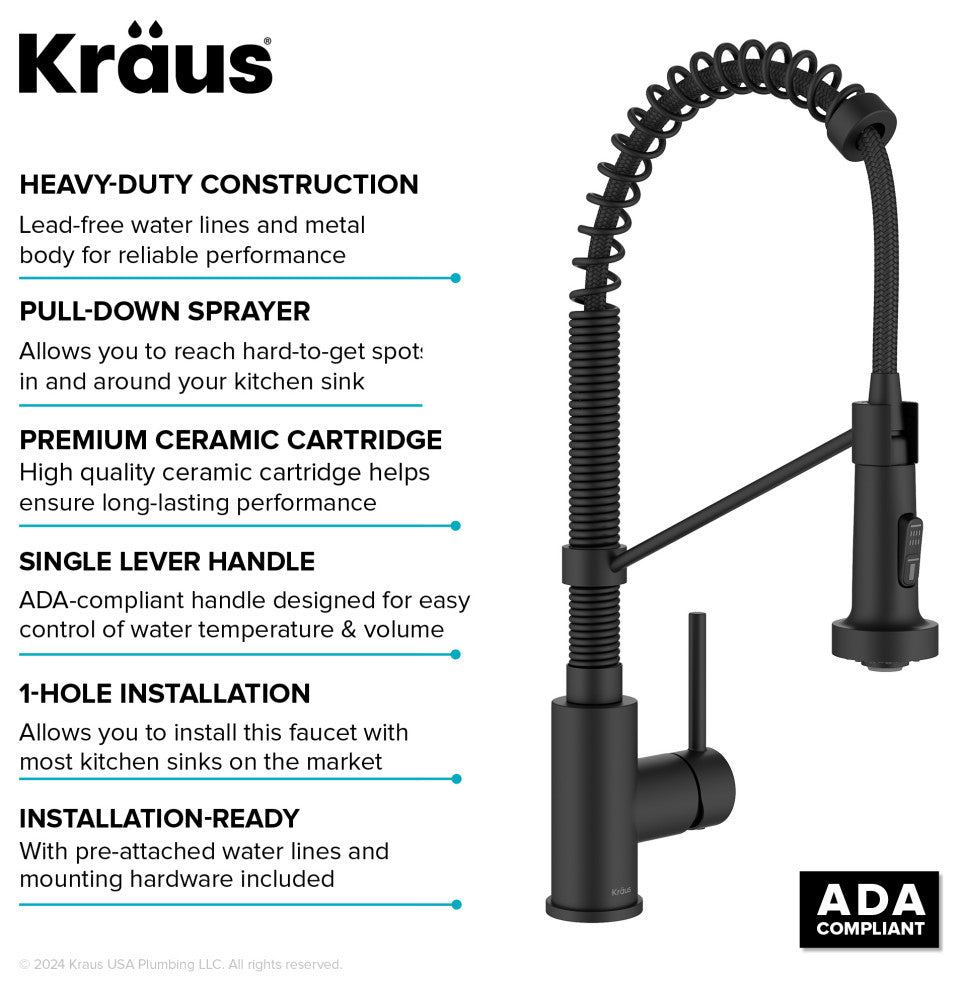 Bolden Commercial Style Pulldown Kitchen Faucet and Water Filter Faucet MB