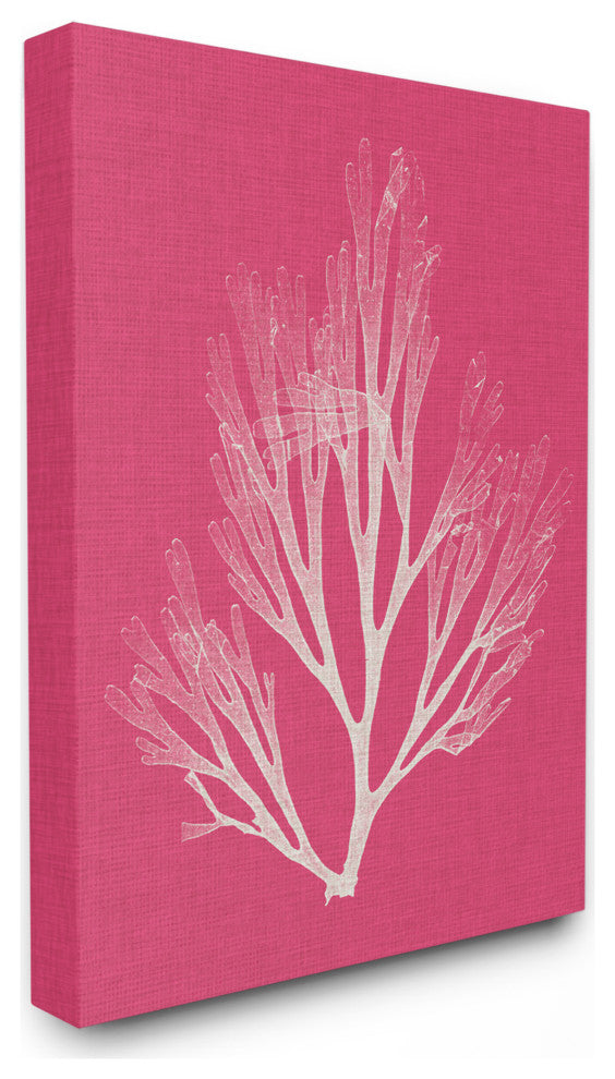 Coral Seaweed Magenta White Beach Design, 30"x40", Canvas Art