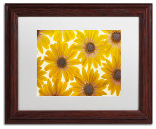 Cora Niele 'Yellow Cape Daisies' Matted Framed Art