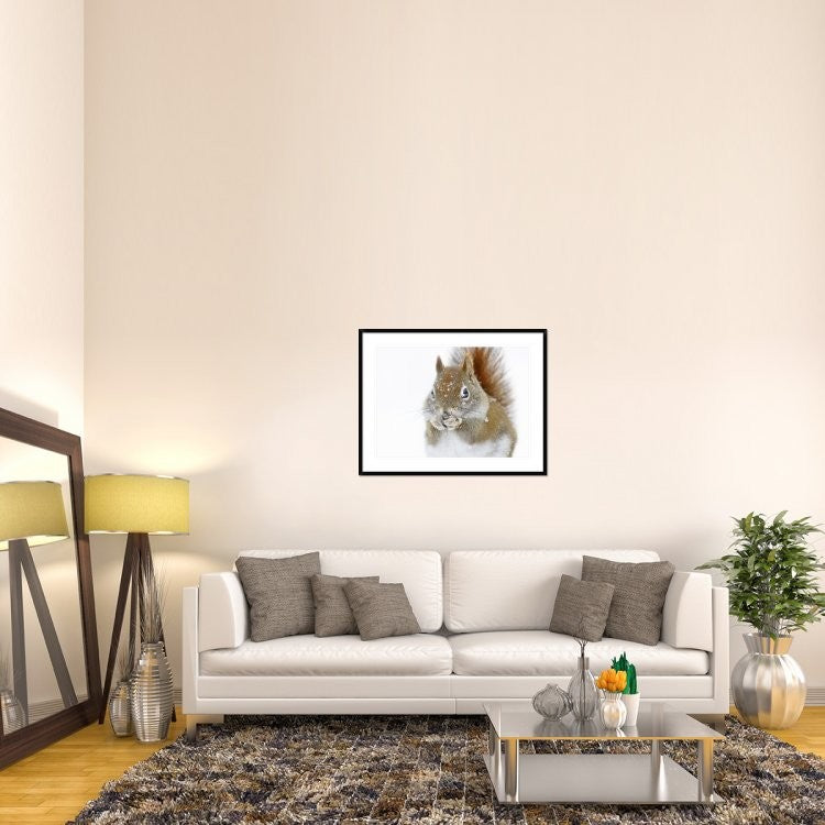 "Christmas Squirrel" Framed Digital Print by Mircea Costina, 40x32"