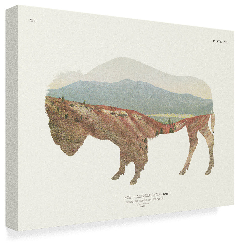 Wild Apple Portfolio ''American Southwest Buffalo'' Canvas Art, 47"x35"
