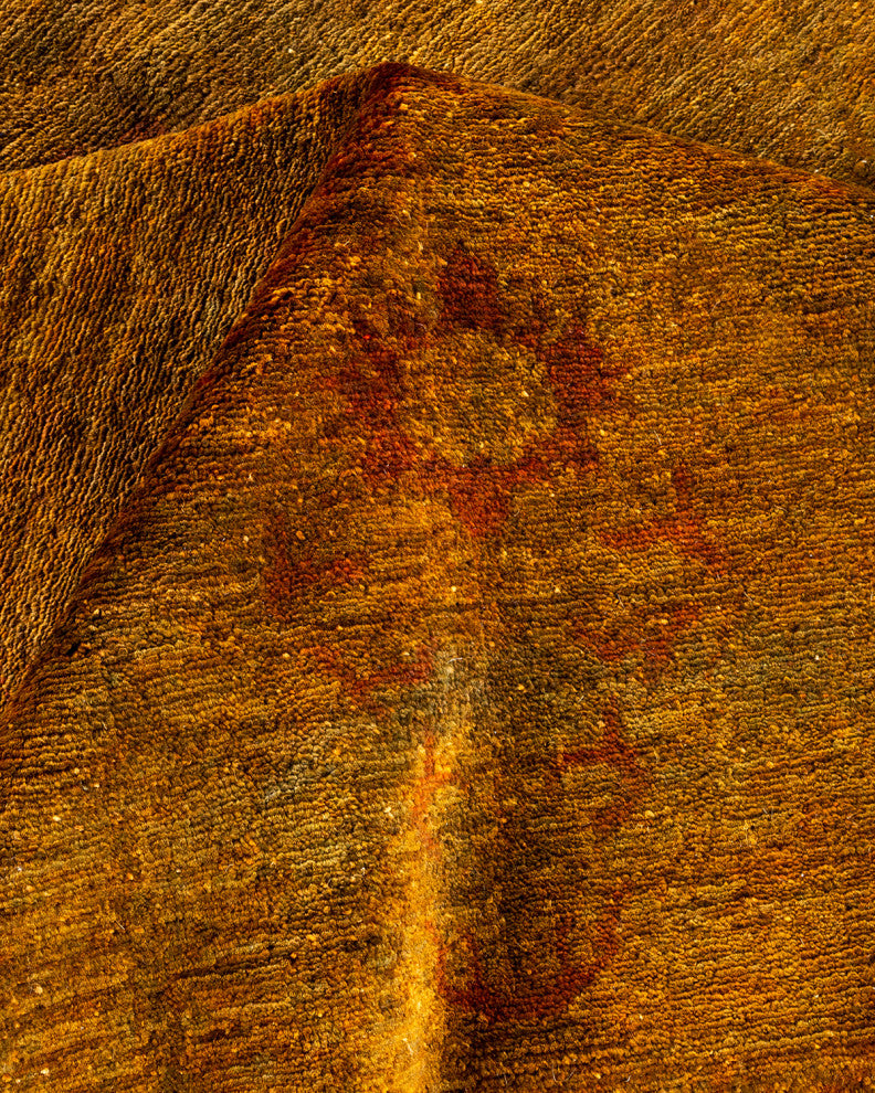 Fine Vibrance, One-of-a-Kind Hand-Knotted Area Rug Yellow, 6' 3" x 8' 8"