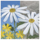"Summer Garden II" Digital Paper Print by Kathrine Lovell, 38"x38"