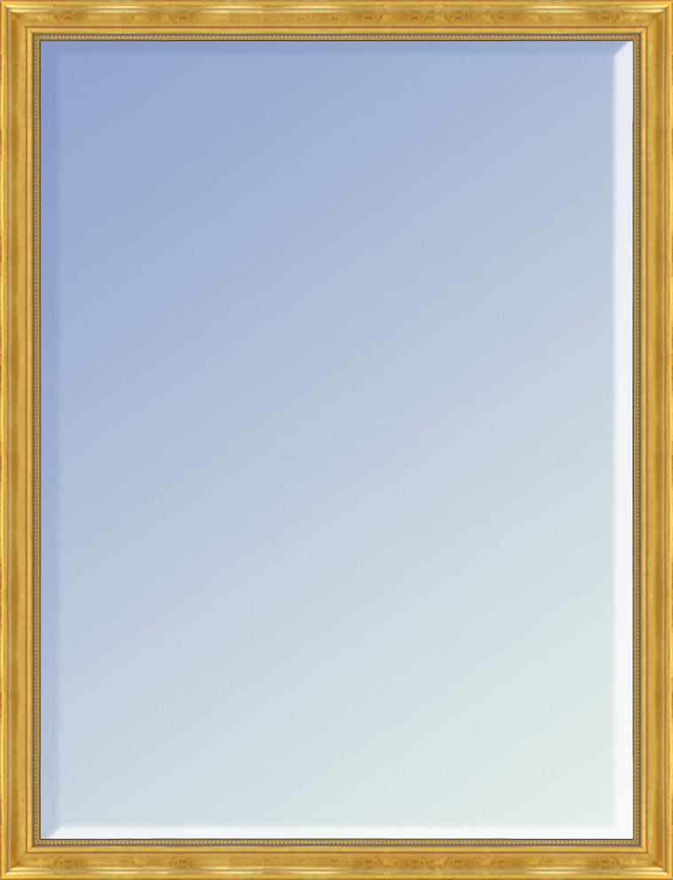 La Pastiche Milan Gold Framed Mirror, 20" x 30"