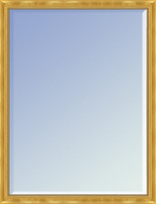 La Pastiche Milan Gold Framed Mirror, 20" x 30"