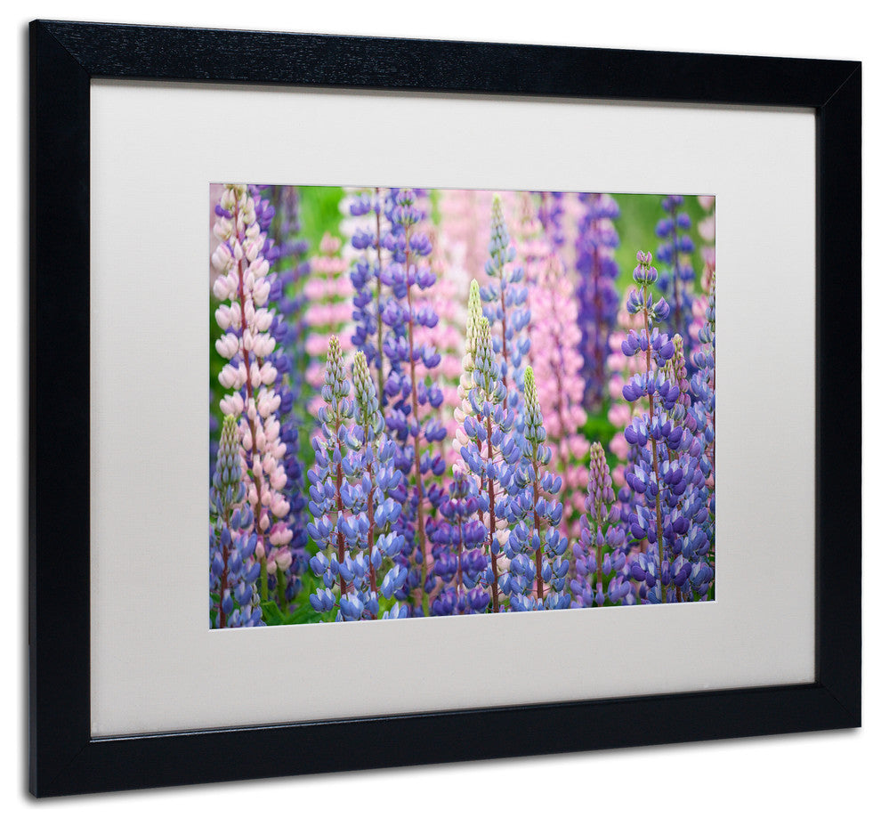 Cora Niele ''Blue Pink Lupine Flowers'' Matted Framed Art