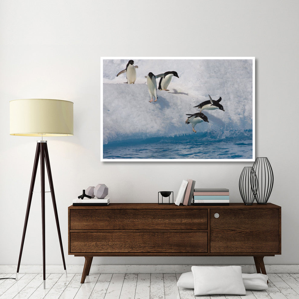 "Adelie Penguins jumping/diving off iceberg, Paulet Island" Paper Art, 62"x42"