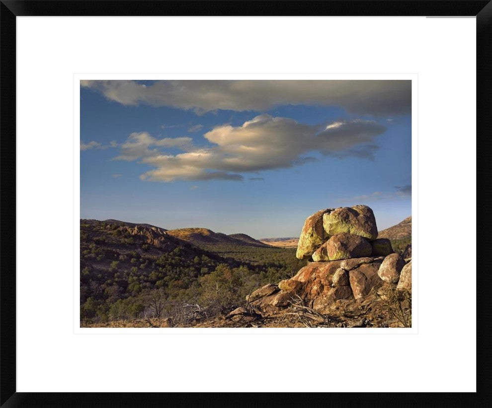 "Rockpile, Davis Mountains, Chihuahuan Desert, Texas"  by Tim Fitzharris, 24x20"
