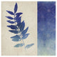 "Indigo Leaves IV" Digital Paper Print by Studio Mousseau, 20"x20"